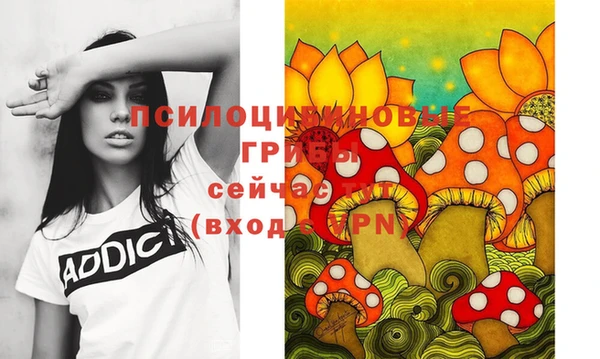 ешки Алзамай