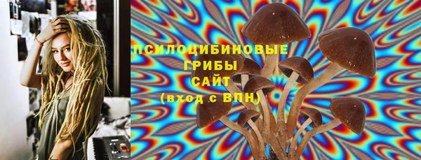 винт Алексин