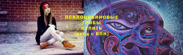 винт Алексин